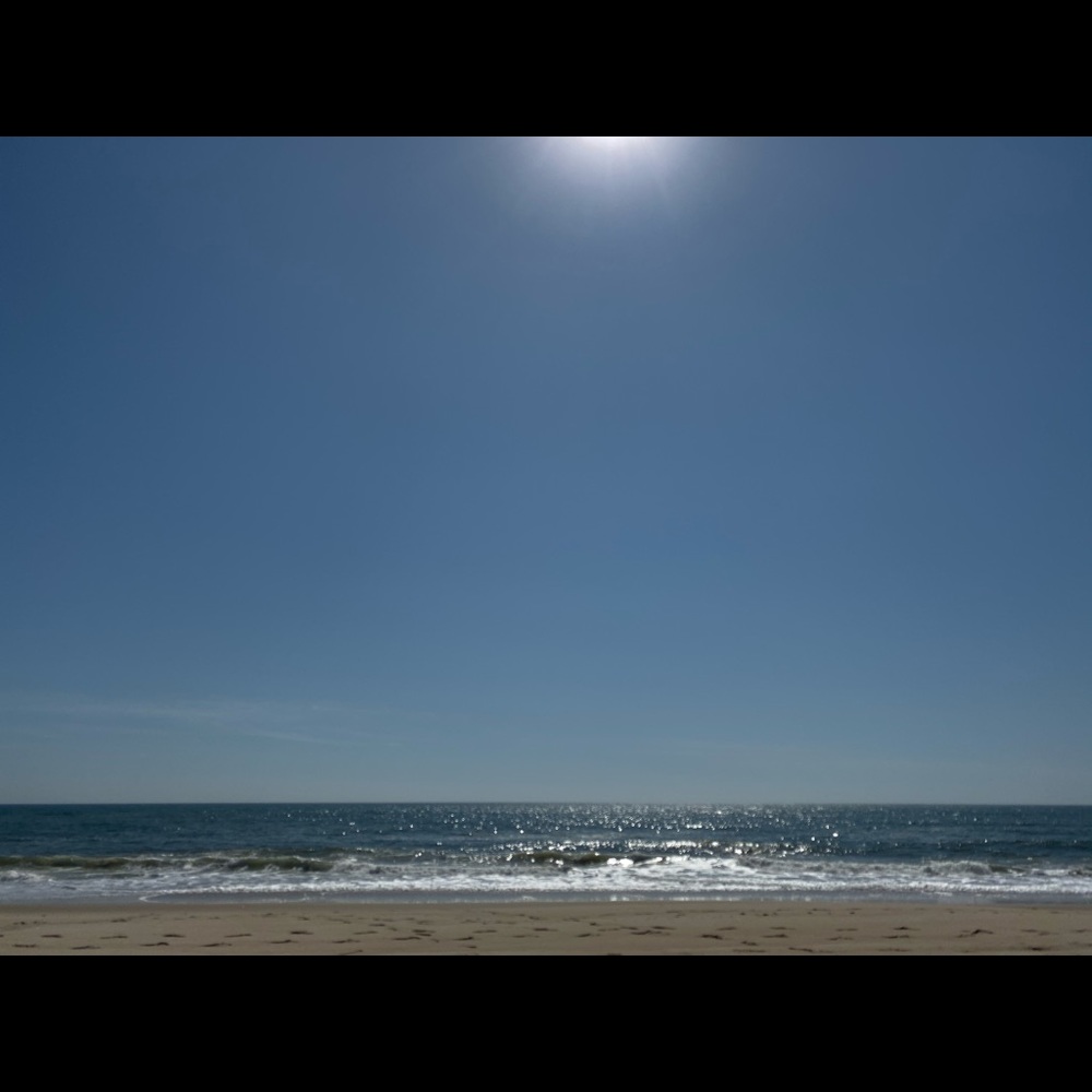 Meet your Posher, Cynthia